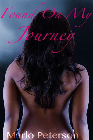 Book cover of Found On My Journey