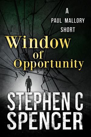 Book cover of Window Of Opportunity