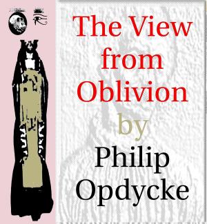 Cover of the book The View from Oblivion by Don A Lashomb