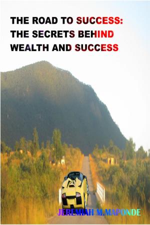 Cover of the book The Road To Success: The Secrets Behind Wealth & Success by Muyiwa B. Olaiya