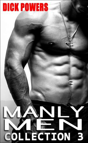 Book cover of Manly Men Collection 3