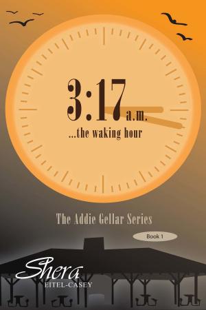bigCover of the book 3:17a.m. ...The Waking Hour by 