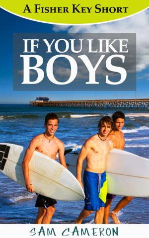 Cover of the book If You Like Boys by Karla Oceanak