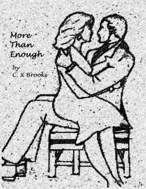 Cover of the book More Than Enough by A. Violet End