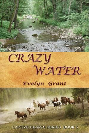 Cover of the book Crazy Water by Michael Kowal