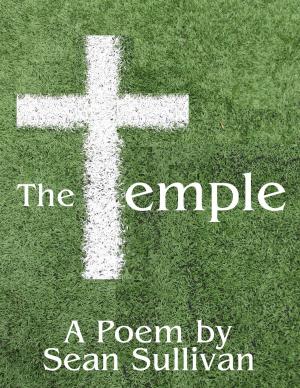 Cover of the book The Temple by Sean Sullivan