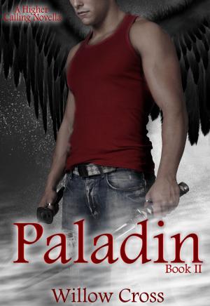 bigCover of the book Paladin (A Higher Calling Novella) by 