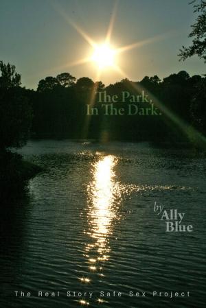 Book cover of In The Park, In The Dark
