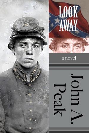 Book cover of Look Away