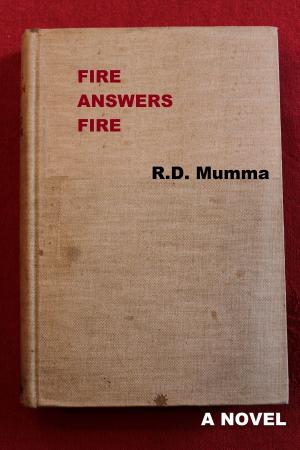 Cover of the book Fire Answers Fire by Étienne Eggis