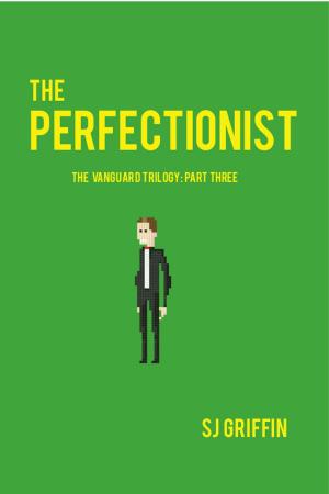 Cover of the book The Perfectionist by Jules Barthélemy-Saint-Hilaire