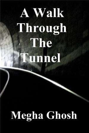 Cover of the book A Walk Through The Tunnel by Beth Ann Luna