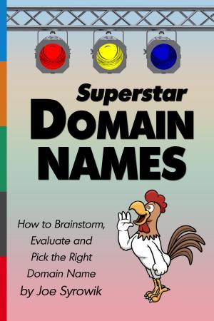 Book cover of Superstar Domain Names: How to Brainstorm, Evaluate and Pick the Right Domain Name