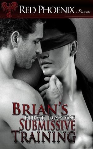 Cover of the book Brian's First Day of Submissive Training by Michelle Stevens, Red Phoenix