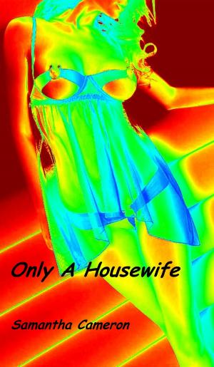 Cover of the book Only A Housewife by Anya Rodgers