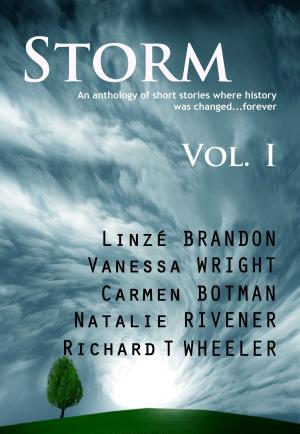 Cover of the book STORM Volume I by Linzé Brandon, Melissa Adendorff, Rene Van Dalen, Michelle Kemp, Charmain Lines, Andrea Vermaak