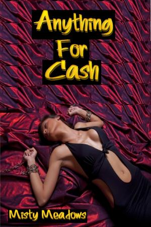 Cover of the book Anything For Cash (BDSM, Dominant Man, Prostitution) by Misty Meadows