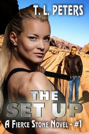 Book cover of The Set Up, A Fierce Stone Novel #1
