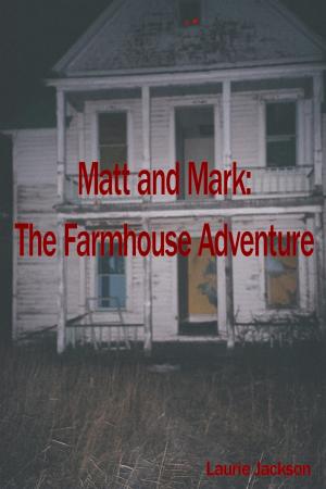 Book cover of Matt and Mark: The Farmhouse Adventure
