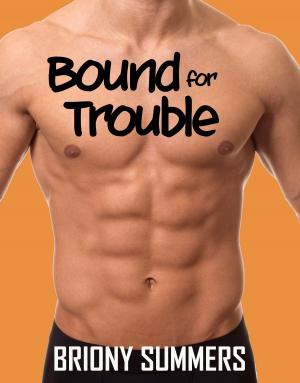 bigCover of the book Bound for Trouble by 
