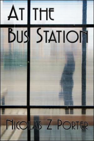 Cover of the book At the Bus Station by Atulya K Bingham