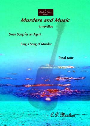 Cover of the book Murders and Music: A Collection by Todd Luchik