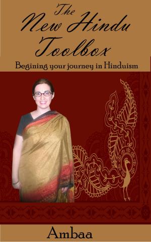 Book cover of The New Hindu Toolbox