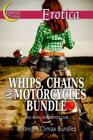 Cover of Whips, Chains and Motorcycles Bundle (MILF, BDSM, Motorcycle Club)