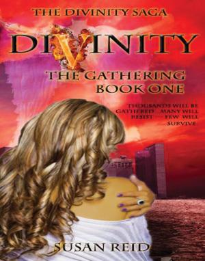 Cover of Divinity: The Gathering: Book One