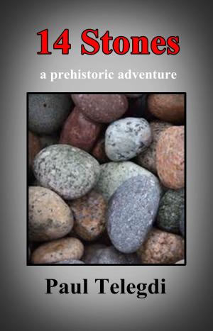 Book cover of 14 Stones