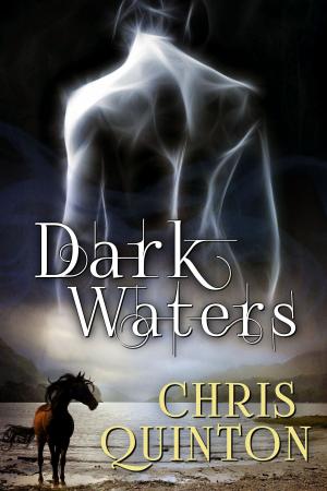Cover of the book Dark Waters by J. Leigh Bailey