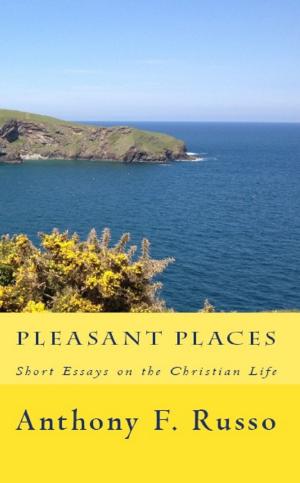 Cover of the book Pleasant Places: Short Essays on the Christian Life by Richard Rundell