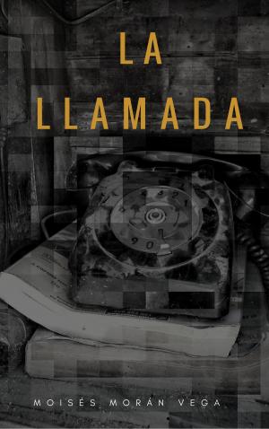 Cover of the book La llamada by S.E. Casey