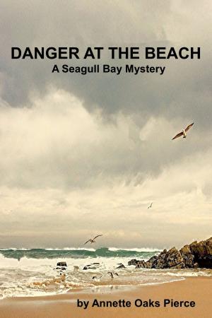 Book cover of Danger At The Beach (A Seagull Bay Mystery)