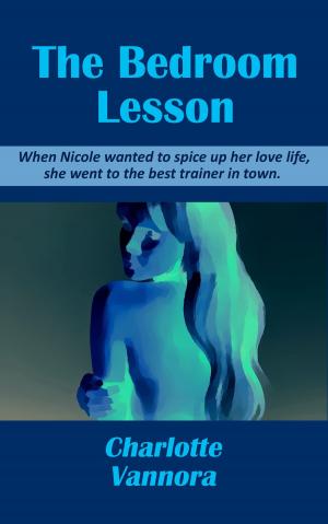 Book cover of The Bedroom Lesson