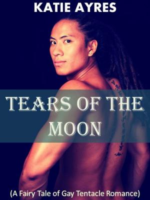 Book cover of Tears of the Moon (Gay Fairy Tale Romance)