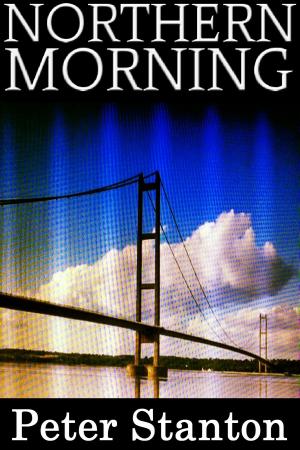 Cover of the book Northern Morning by Peter Allchin