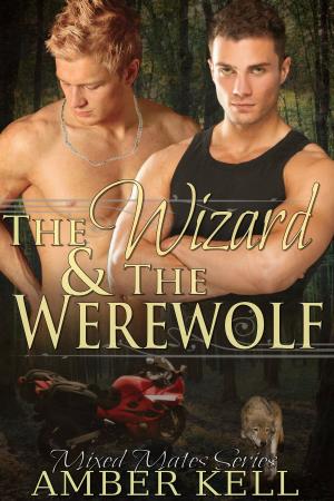Cover of the book The Wizard and The Werewolf by Sondra Allan Carr