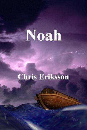 Cover of the book Noah by A.S. Fenichel
