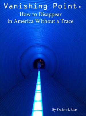Book cover of Vanishing Point: How to disappear in America without a trace