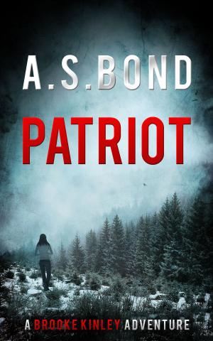 Cover of the book PATRIOT (A Brooke Kinley Adventure) by Clanci