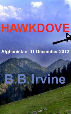 Book cover of Hawkdove-Afghanistan, 11 December 2012