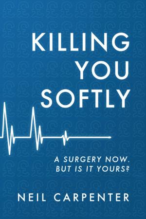 Cover of the book Killing You Softly by Sally Drumm