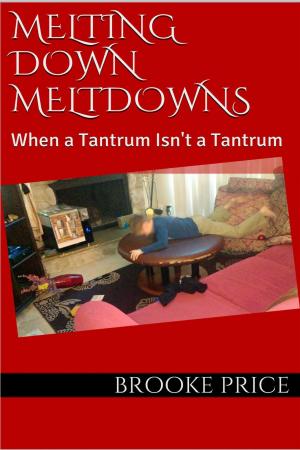 Book cover of Melting Down Meltdowns: When a Tantrum Isn't a Tantrum
