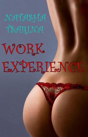 Cover of the book Work Experience by Natasha Tsarina