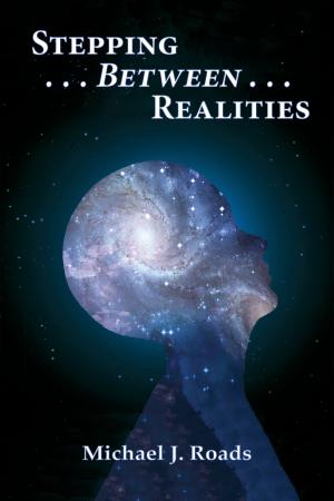 Cover of the book Stepping Between Realities by Jay Ebben