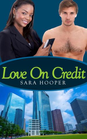 Cover of the book Love On Credit by Cari Quinn