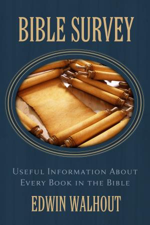 Cover of the book Bible Survey: Useful Information About Every Book in the Bible by Edwin Walhout