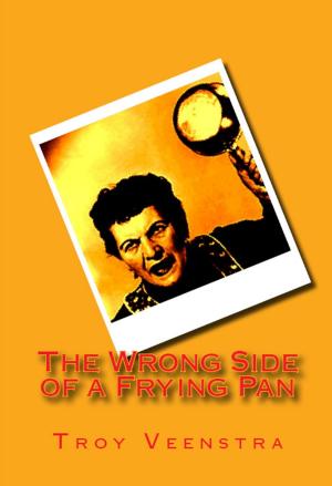 Cover of the book The Wrong Side of a Frying Pan by Gabriel Angelo