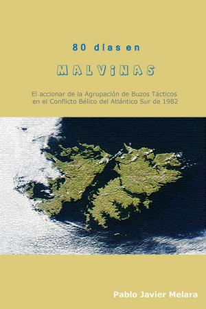 Cover of the book 80 días en Malvinas by Gareth Morgan, Jo Morgan